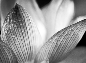 电话连环云呼叫软件